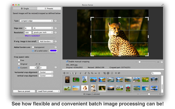 Resize Sense - Flexible batch processing