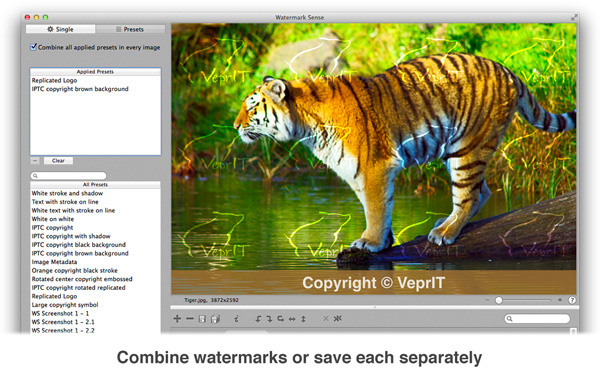 Watermark Sense - Multiple watermarks