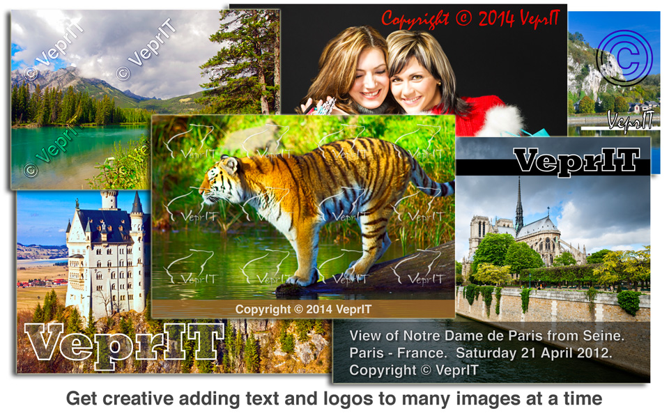 Watermark Sense - Examples